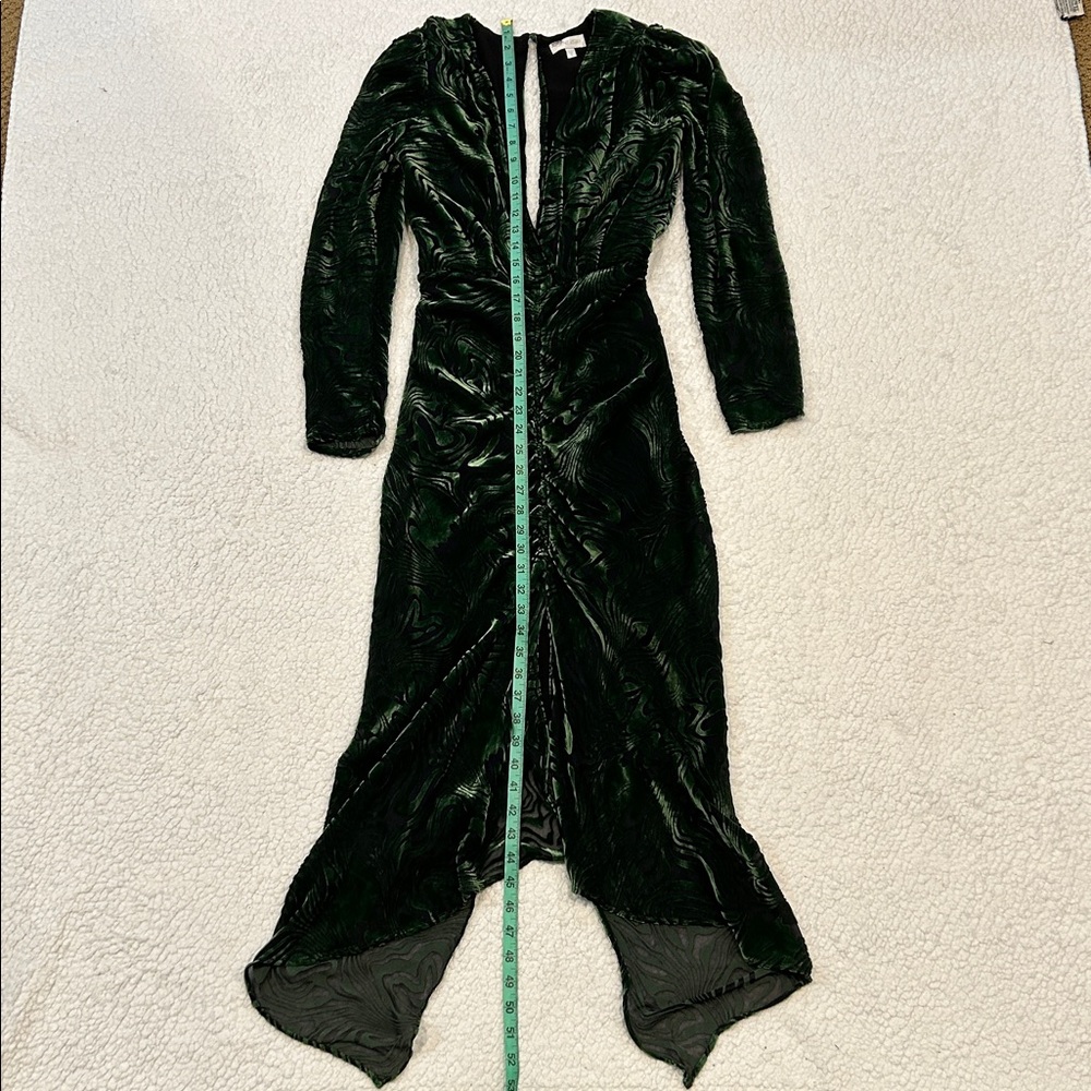 Ronny Kobo Astrid Dress size Small Burnout Velvet Green Black Silk Blend - Picture 13 of 16